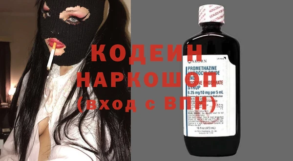 крисы Новодвинск