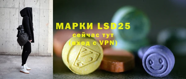 гашик Вязники