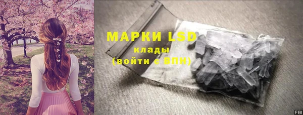 шишки Новокубанск