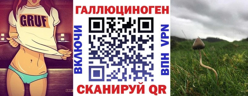 Галлюциногенные грибы Magic Shrooms  Зубцов 